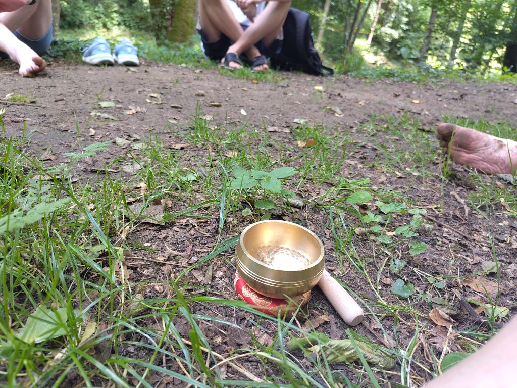 Klangschale auf dem Waldboden